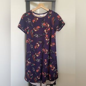 LulaRoe Carly dress